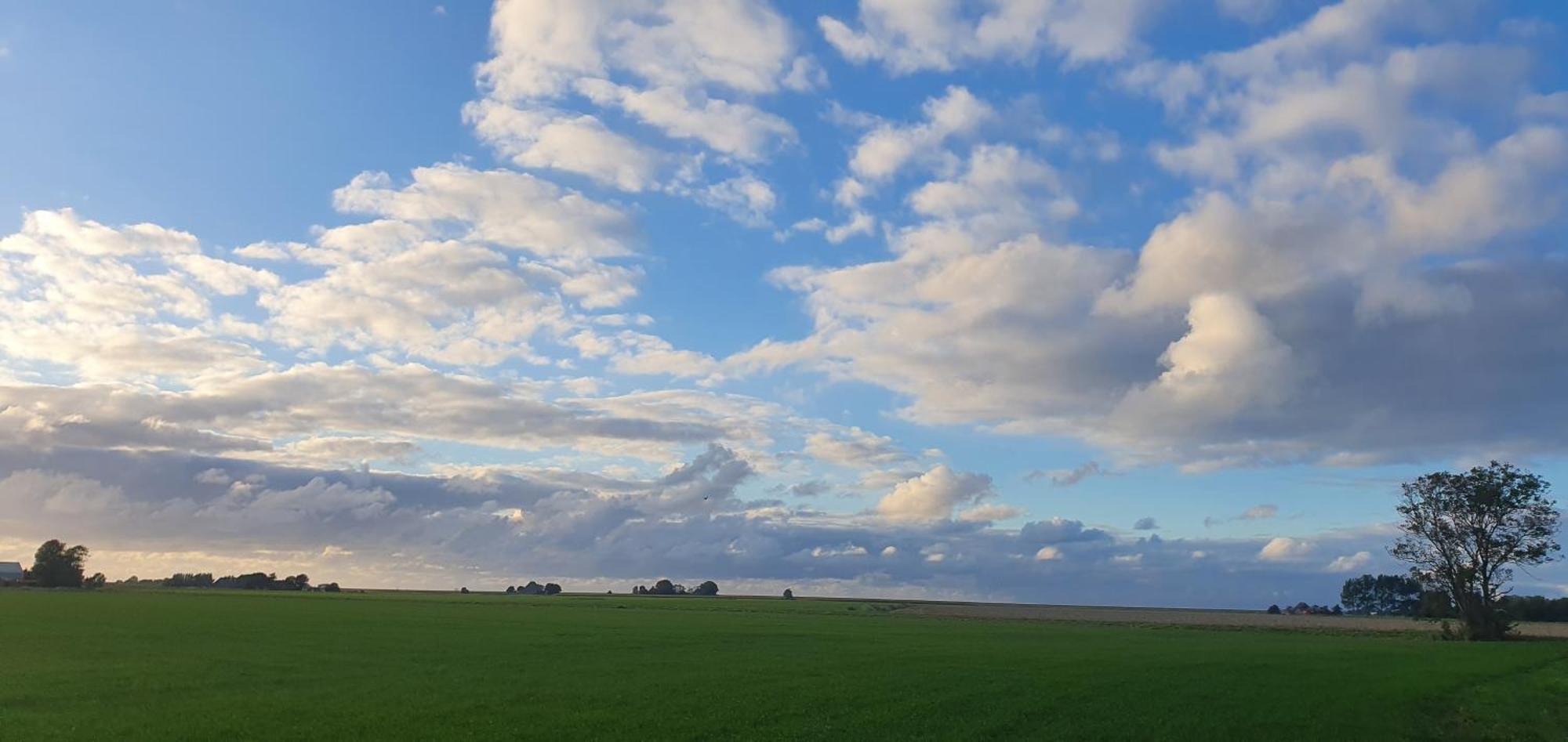 De Groote Medwert