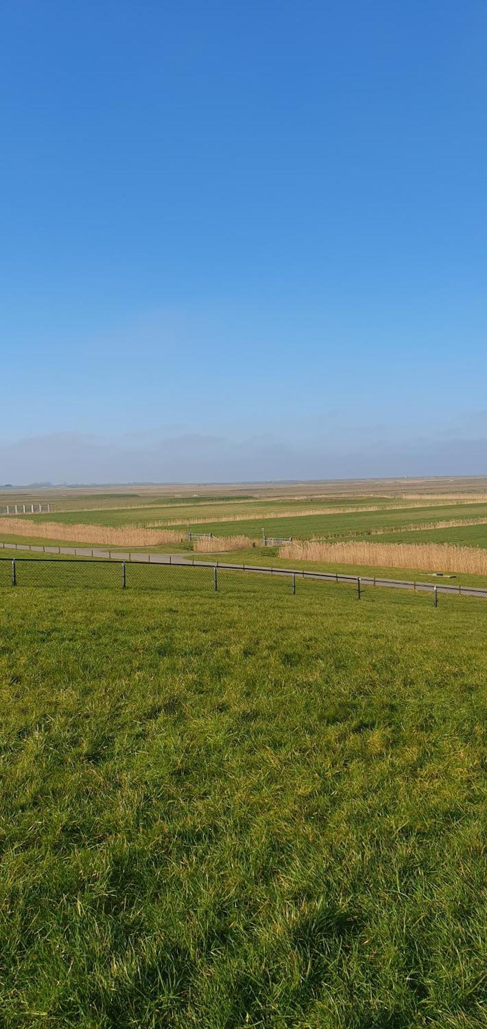 De Groote Medwert