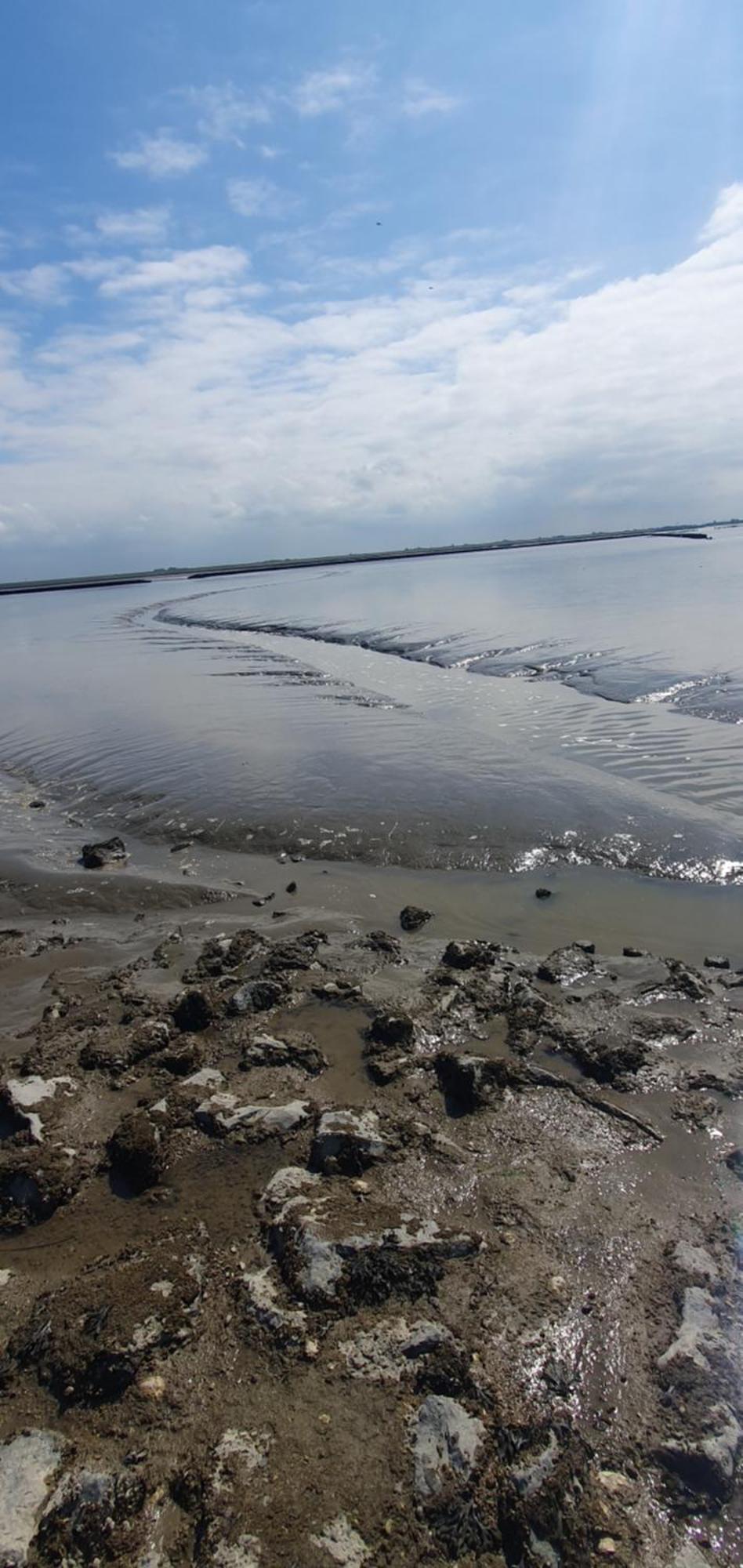 De Groote Medwert * Holwerd